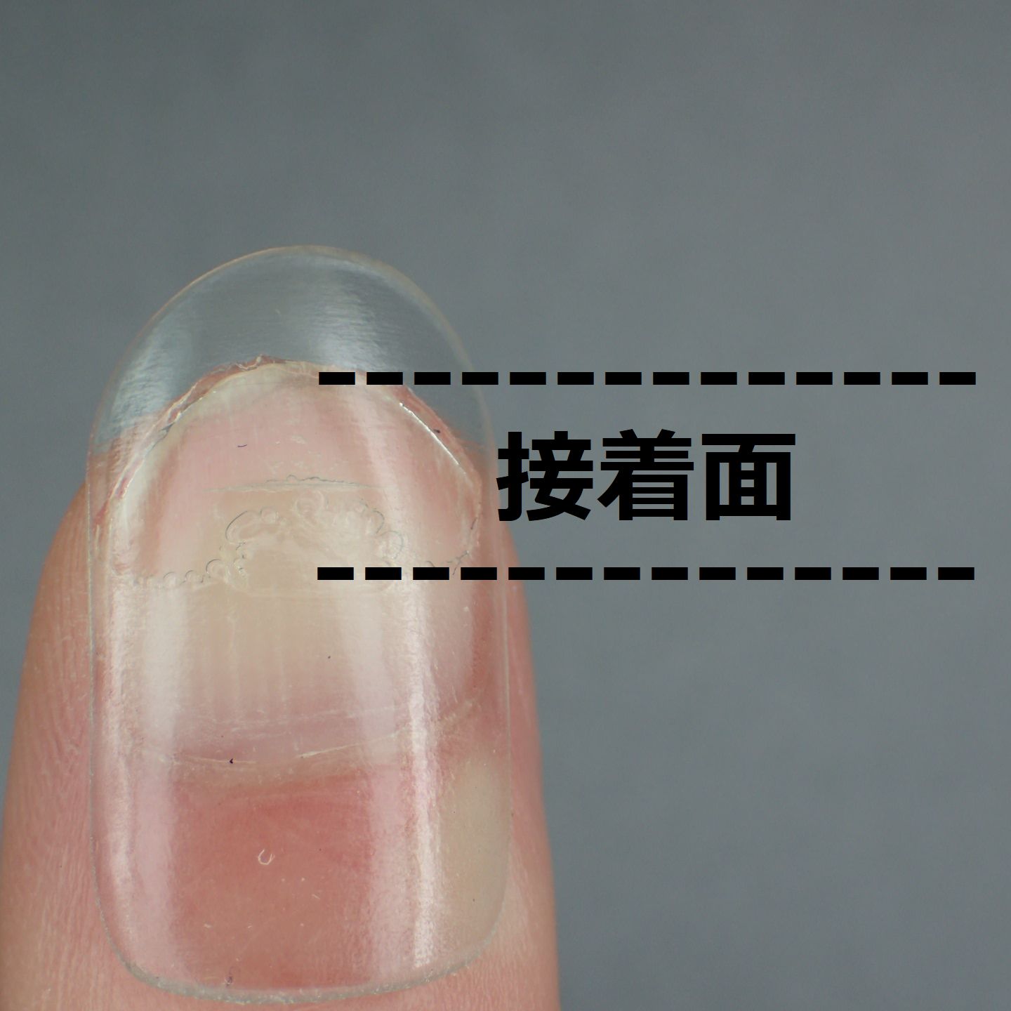 接着面積